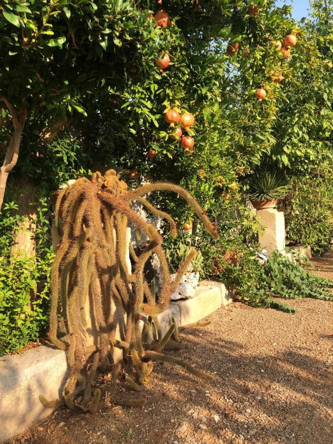 Giardino Frannicola Hotel มาลเย ภายนอก รูปภาพ